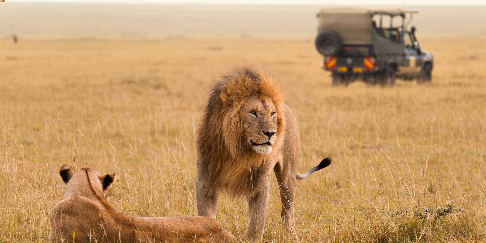 maasai_mara_national_reserve_2-7